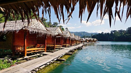 دریاچه Cheow Lan، برای سفر به جنگل